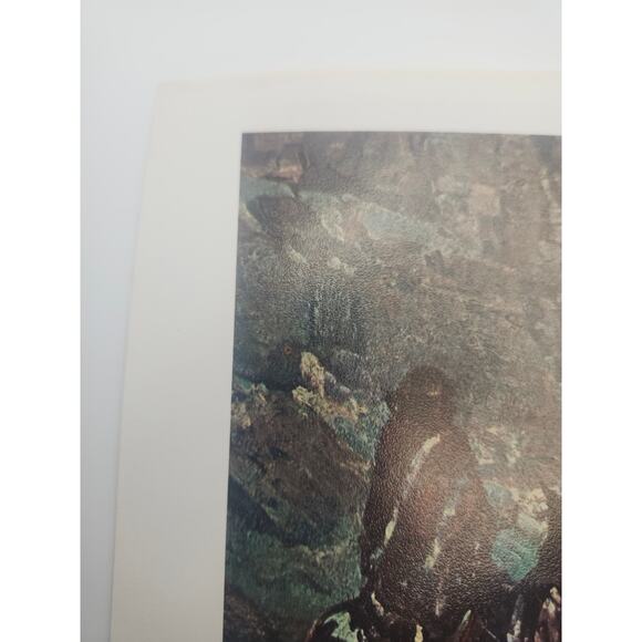 Print A Navajo Madonna & Voices of the Night Frank Tenney Johnson Art 13x10 - Picture 12 of 12